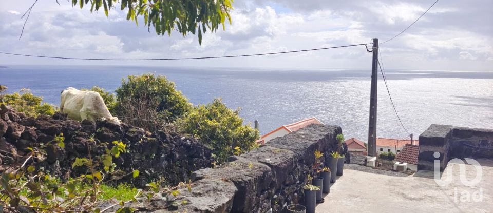 Maison T2 à Ribeiras de 175 m²