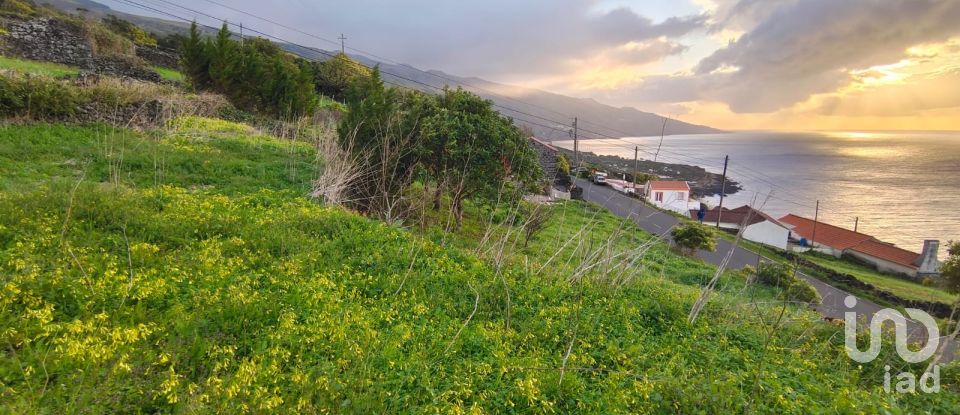 Maison T2 à Ribeiras de 175 m²