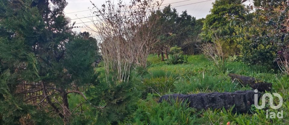 Maison T2 à Ribeiras de 175 m²