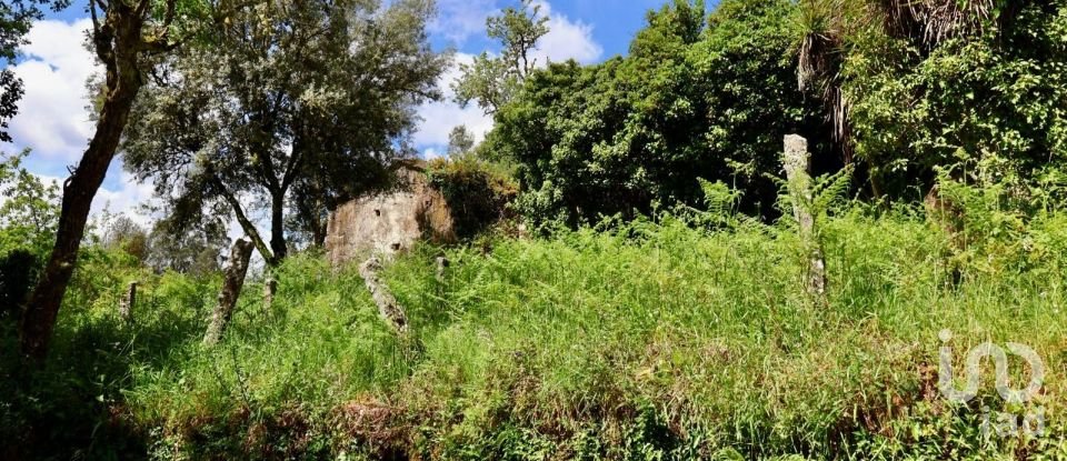 Maison T4 à Covas de 360 m²