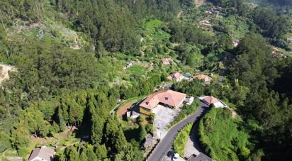 Farm T8 in Santo António da Serra of 960 m²