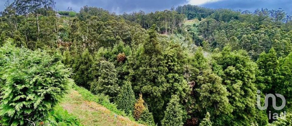 Farm T8 in Santo António da Serra of 960 m²