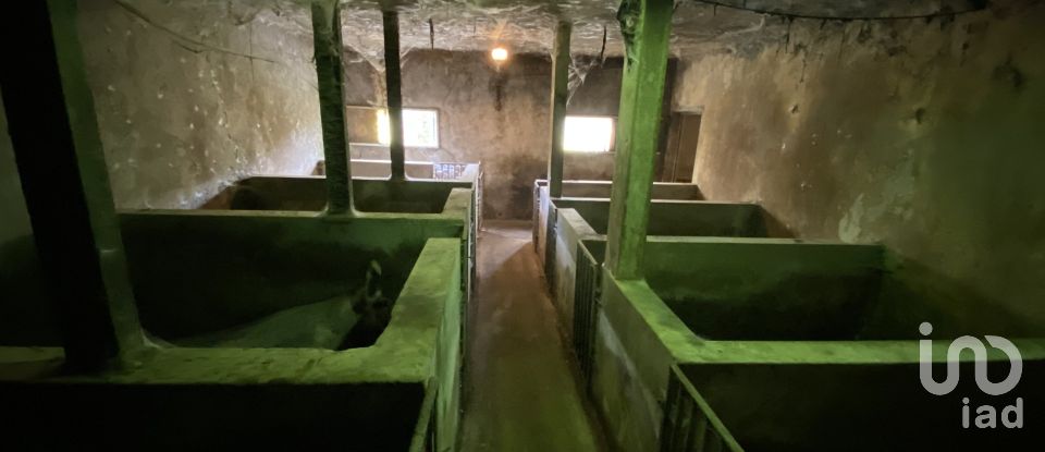 Farm T8 in Santo António da Serra of 960 m²