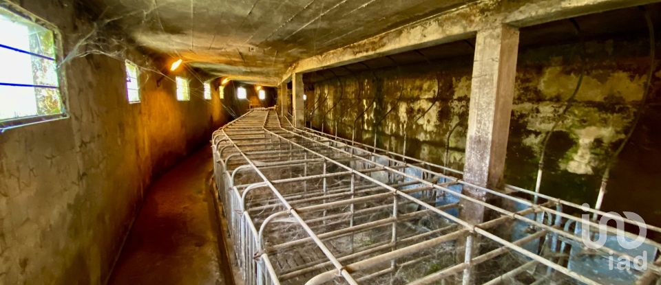 Farm T8 in Santo António da Serra of 960 m²