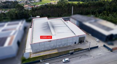 Pavillon T0 à Nogueira do Cravo e Pindelo de 2 268 m²