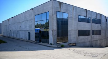 Pavillon T0 à Nogueira do Cravo e Pindelo de 2 268 m²