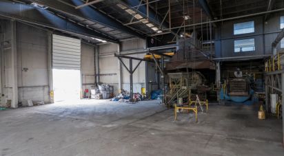 Pavillon T0 à Nogueira do Cravo e Pindelo de 2 268 m²