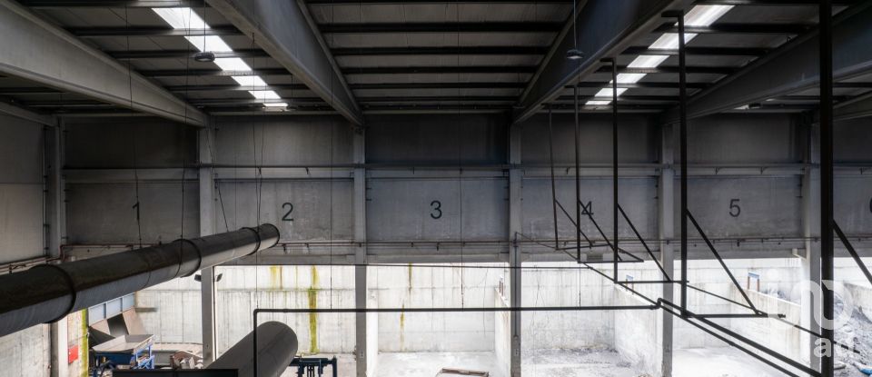 Armazém T0 em Nogueira do Cravo e Pindelo de 2 268 m²