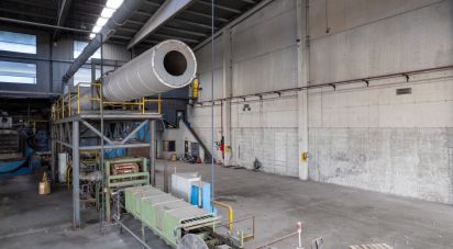 Pavillon T0 à Nogueira do Cravo e Pindelo de 2 268 m²