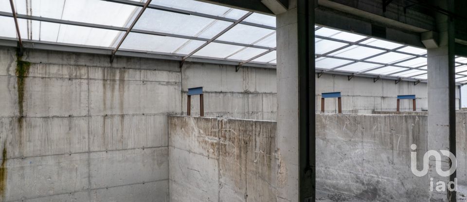 Armazém T0 em Nogueira do Cravo e Pindelo de 2 268 m²