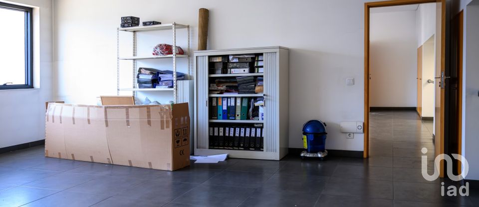 Armazém T0 em Nogueira do Cravo e Pindelo de 2 268 m²