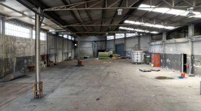 Pavillon T0 à Nogueira do Cravo e Pindelo de 1 606 m²