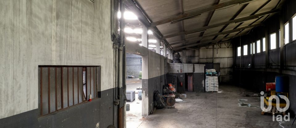 Pavillon T0 à Nogueira do Cravo e Pindelo de 1 606 m²