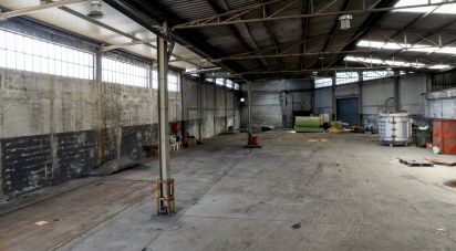 Pavillon T0 à Nogueira do Cravo e Pindelo de 1 606 m²