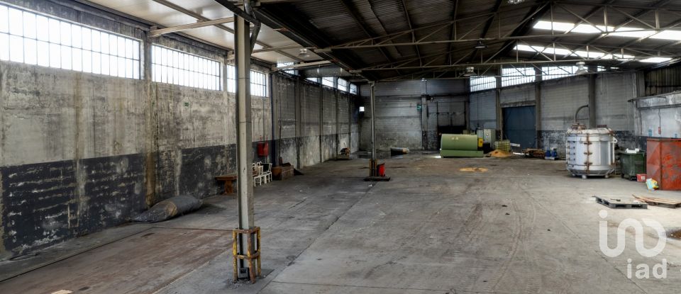 Pavillon T0 à Nogueira do Cravo e Pindelo de 1 606 m²