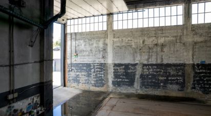 Pavillon T0 à Nogueira do Cravo e Pindelo de 1 606 m²