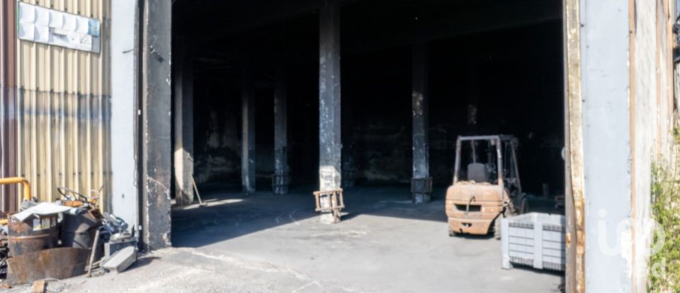 Pavillon T0 à Nogueira do Cravo e Pindelo de 1 606 m²