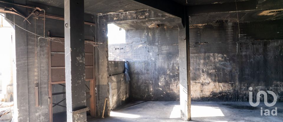 Pavillon T0 à Nogueira do Cravo e Pindelo de 1 606 m²