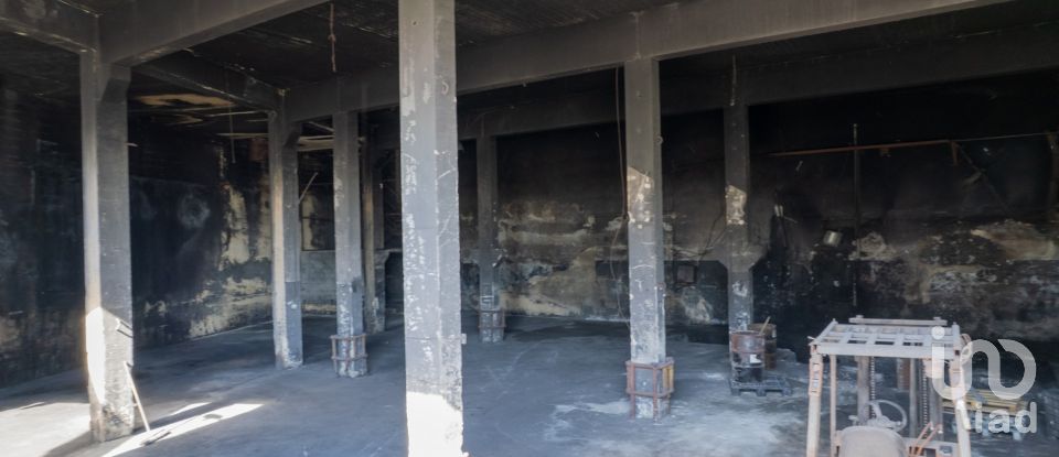 Pavillon T0 à Nogueira do Cravo e Pindelo de 1 606 m²