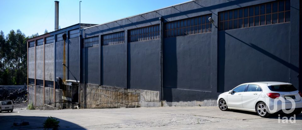 Pavillon T0 à Nogueira do Cravo e Pindelo de 1 606 m²