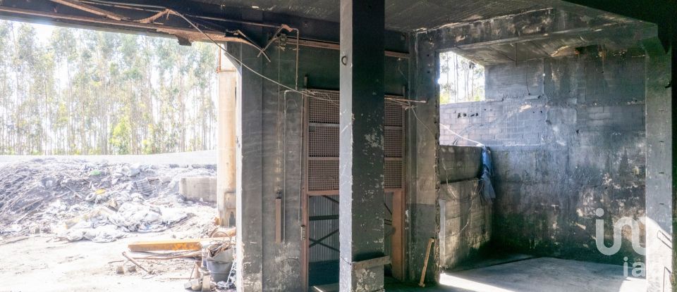 Pavillon T0 à Nogueira do Cravo e Pindelo de 1 606 m²