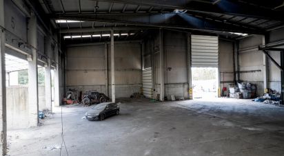 Pavillon T0 à Nogueira do Cravo e Pindelo de 2 268 m²