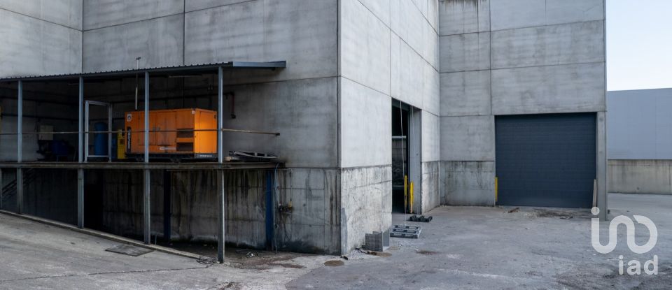 Armazém T0 em Nogueira do Cravo e Pindelo de 2 268 m²