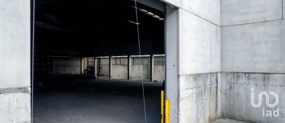 Armazém T0 em Nogueira do Cravo e Pindelo de 2 268 m²