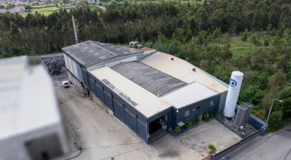 Pavillon T0 à Nogueira do Cravo e Pindelo de 1 606 m²