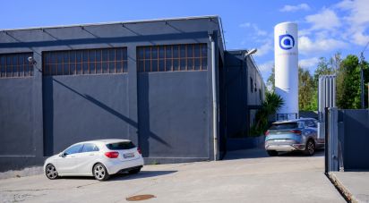 Pavillon T0 à Nogueira do Cravo e Pindelo de 1 606 m²