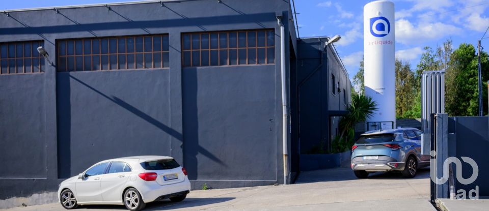 Pavilion T0 in Nogueira do Cravo e Pindelo of 1,606 m²