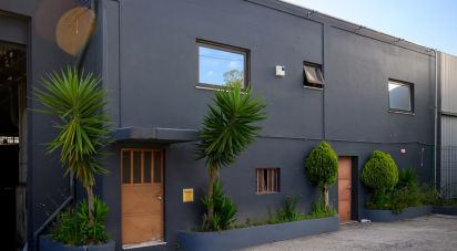 Pavillon T0 à Nogueira do Cravo e Pindelo de 1 606 m²