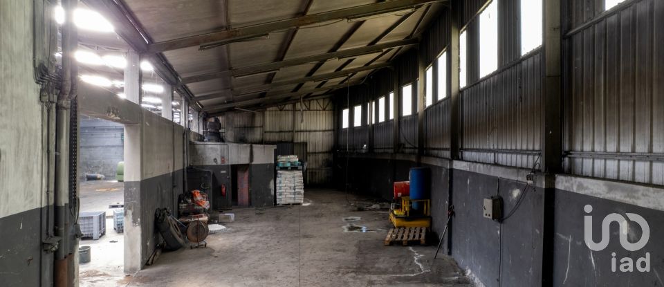 Pavilion T0 in Nogueira do Cravo e Pindelo of 1,606 m²