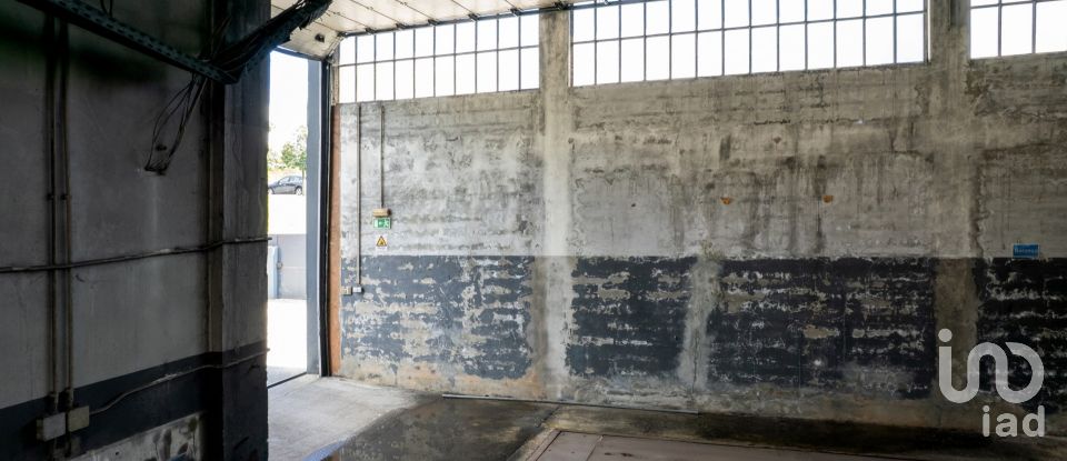 Pavilion T0 in Nogueira do Cravo e Pindelo of 1,606 m²