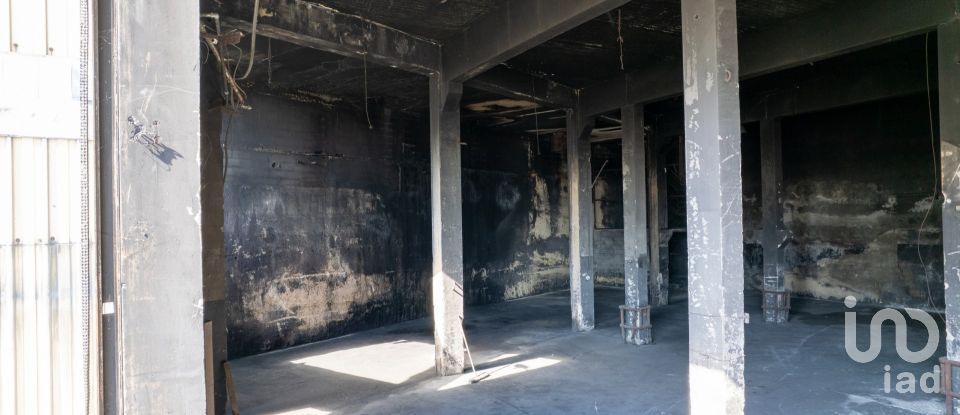 Pavilion T0 in Nogueira do Cravo e Pindelo of 1,606 m²