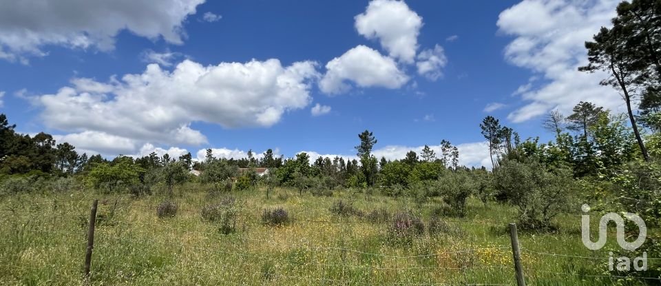 Casa tradicional T3 em Cumeada e Marmeleiro de 126 m²