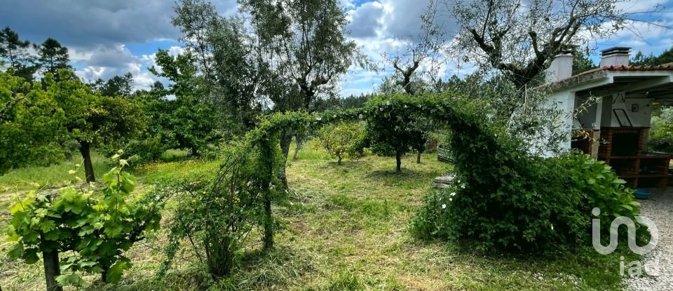 Casa tradicional T3 em Cumeada e Marmeleiro de 126 m²