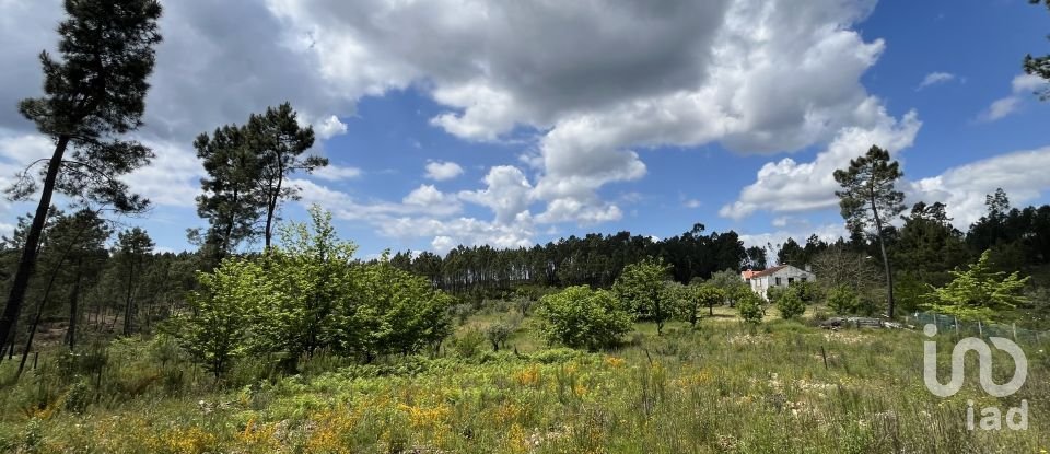 Casa tradicional T3 em Cumeada e Marmeleiro de 126 m²