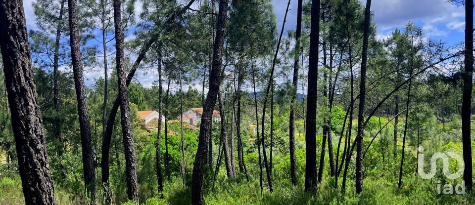 Casa tradicional T3 em Cumeada e Marmeleiro de 126 m²