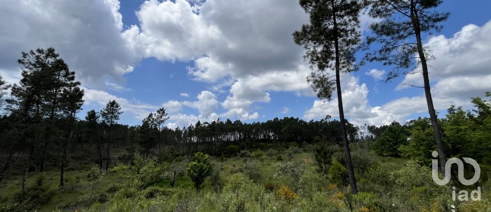Casa tradicional T3 em Cumeada e Marmeleiro de 126 m²