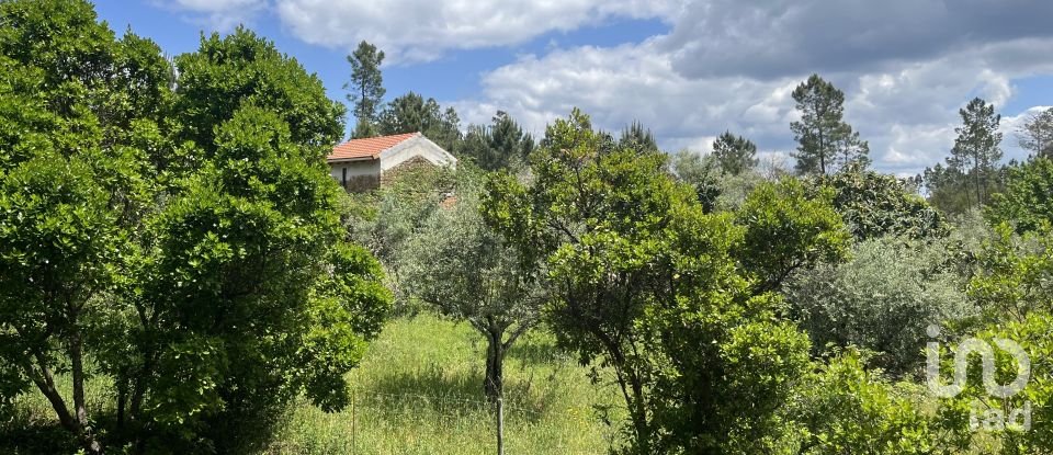 Casa tradicional T3 em Cumeada e Marmeleiro de 126 m²