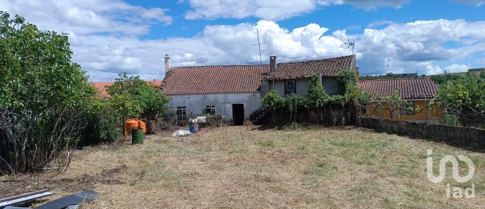 Village house T6 in Azinhoso of 320 m²