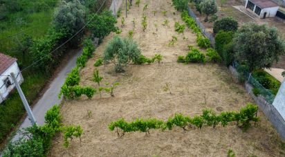 Terreno em São Pedro de Tomar de 1 480 m²