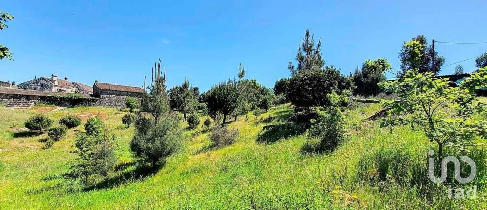 House T4 in Ervedal e Vila Franca da Beira of 374 m²