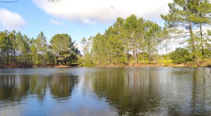 Terrain à bâtir à Rogil de 70 920 m²