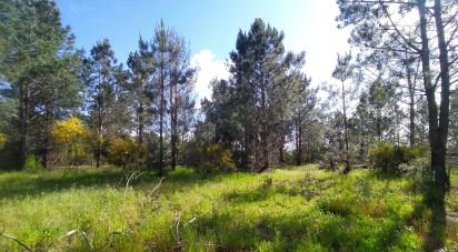 Terrain à bâtir à Rogil de 70 920 m²