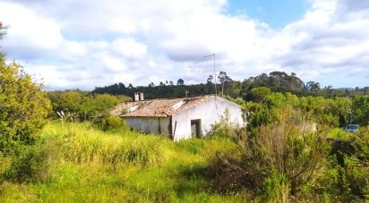 Terrain à bâtir à Rogil de 70 920 m²