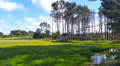 Terrain à bâtir à Rogil de 70 920 m²