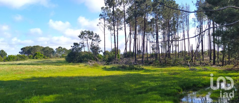 Terrain à bâtir à Rogil de 70 920 m²