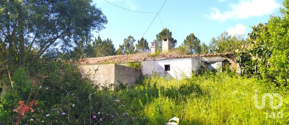 Terrain à bâtir à Rogil de 70 920 m²